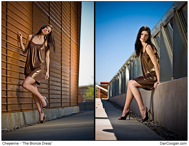 Cheyenne Martin - The Bronze Dress